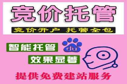 某sem公司广告投放实战案例